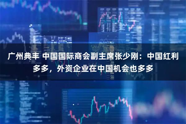 广州典丰 中国国际商会副主席张少刚:中国红利多多,外资企业在中国机会也多多